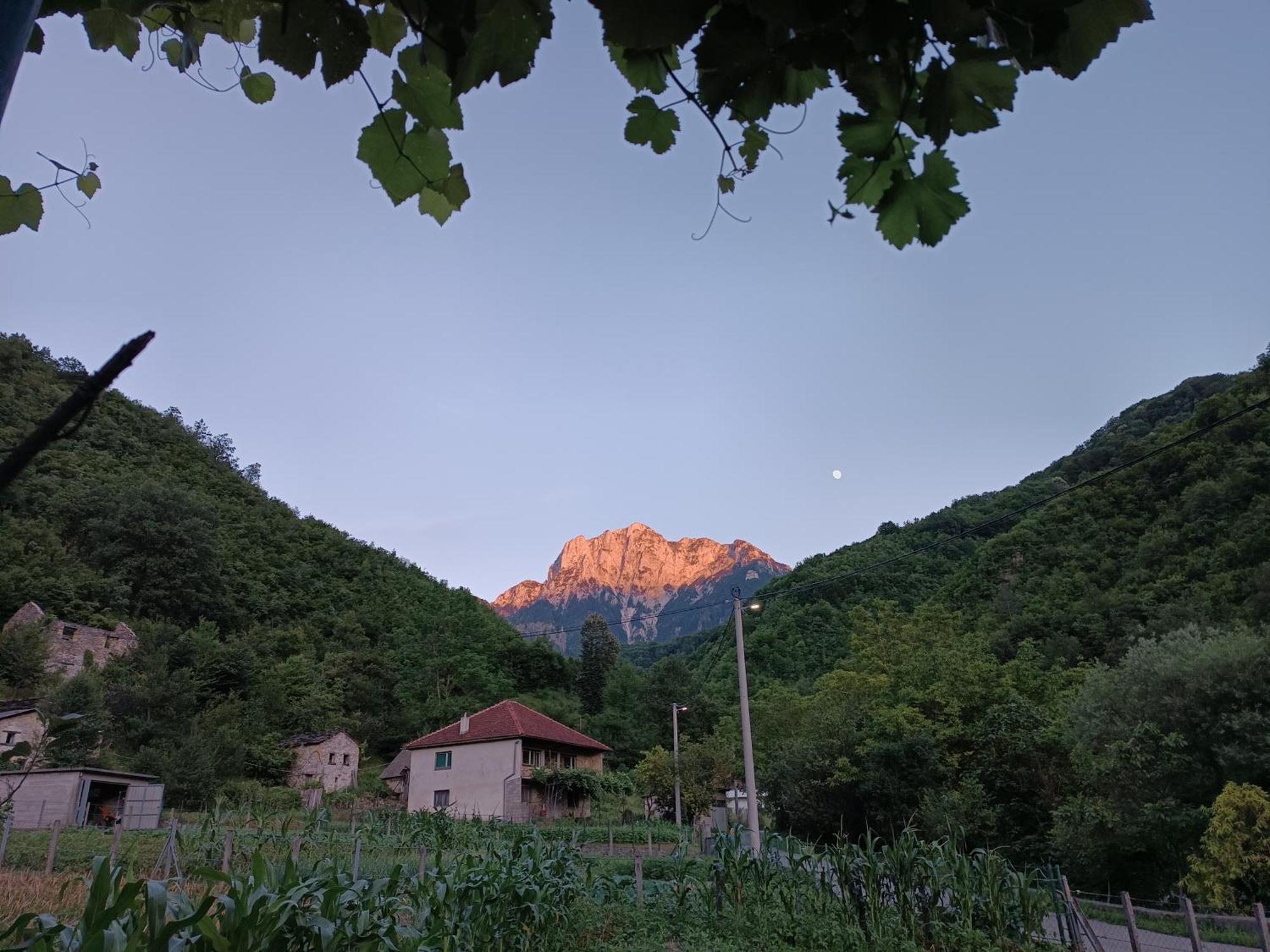 Apartma 